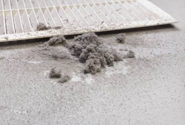 Best Air Duct Cleaning Near Me  in Tremont, PA