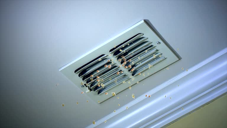 Best Commercial Air Duct Cleaning  in Tremont, PA